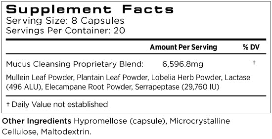 SKIN CLARIFIER 10 DAY BLEMISH DETOX